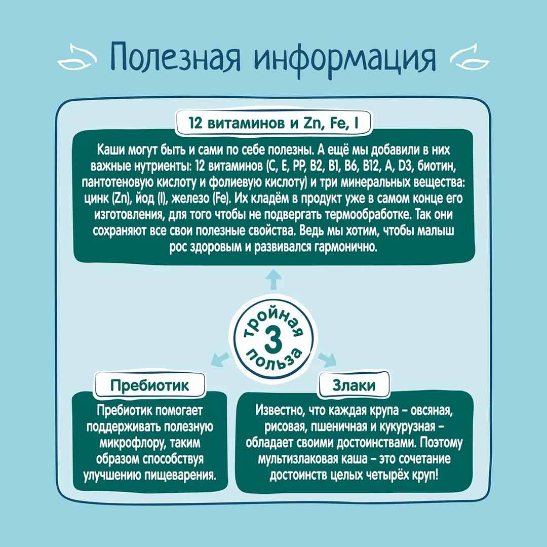 Каша мультизлаковая ФрутоНяня молочная с яблоком и черной смородиной 200 гр с 6+ мес