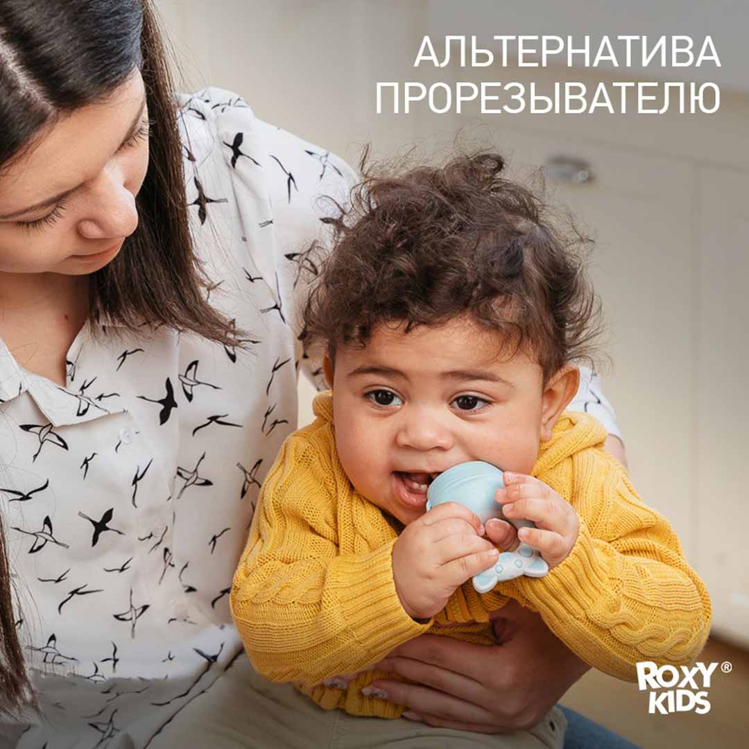 Ниблер для прикорма ROXY-KIDS с силиконовой сеточкой piggy с 6+ мес